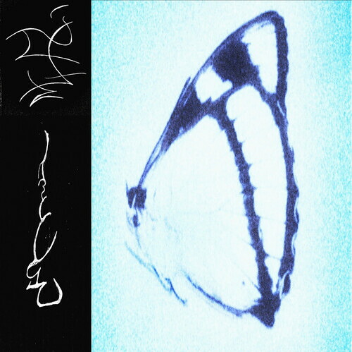 【輸入盤LPﾚｺｰﾄﾞ】【新品】TRHA / INAGAPE【LP2024/09/06発売】