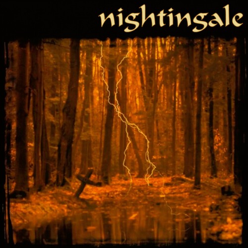 【輸入盤LPﾚｺｰﾄﾞ】【新品】NIGHTINGALE / I (RE-ISSUE)【LP2024/08/23発売】