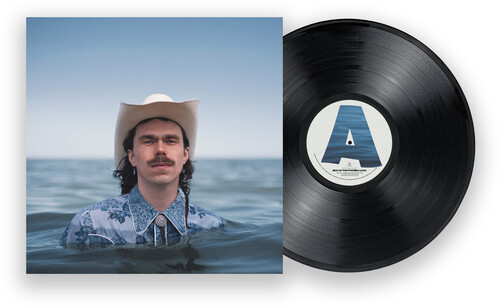 【輸入盤LPﾚｺｰﾄﾞ】【新品】BOY GOLDEN / BEST OF OUR POSSIBLE LIVES【LP2026/2/13発売】