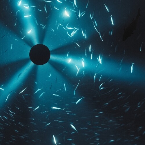 【輸入盤LPﾚｺｰﾄﾞ】【新品】LAUREL HALO (Soundtrack) / MIDNIGHT ZONE (FILM BY JULIAN CHARRIERE) (W/BOOK) (Black) (Gatefold LP Jacket)【LP2026/3/20発売】