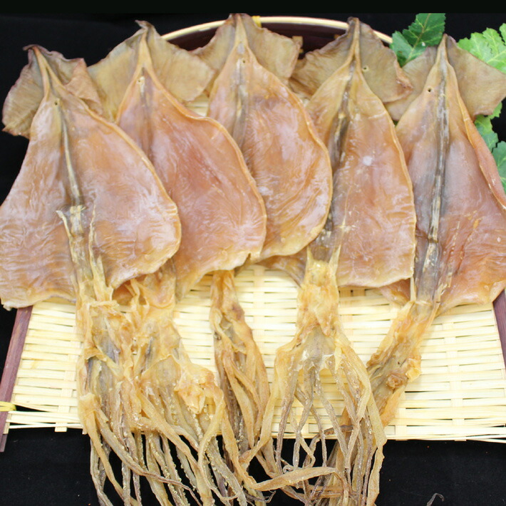 スルメ・イカ様 スルメ・イカ様 楽天市場】スルメイカ（イカの種（しゅ