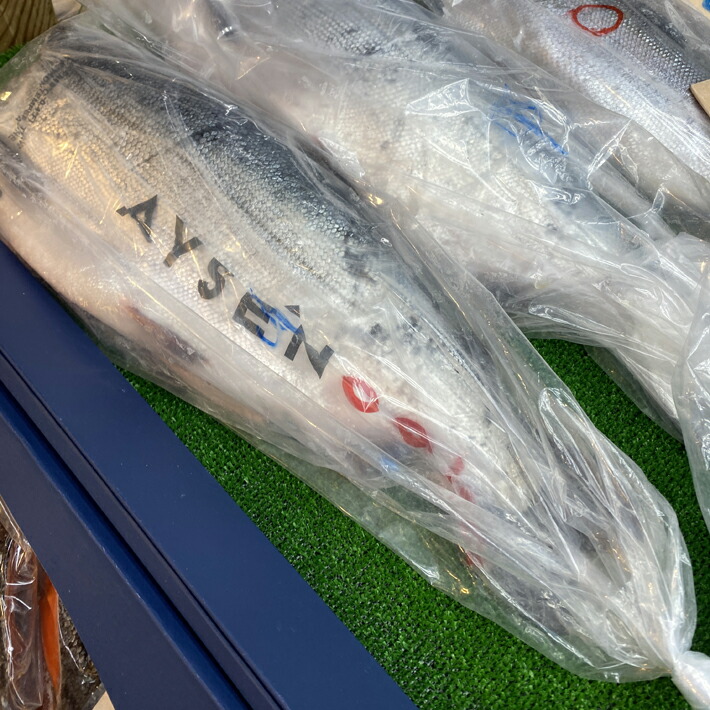 送料無料　銀鮭　一本物　約3kg　塩引き　チリ産　頭無し　等級プレミアム　二枚卸　お歳暮　新巻　贈答　化粧箱入　【ギンシャケ　ギンサケ　ぎん　】アメ横　沖縄+800円 6,574円