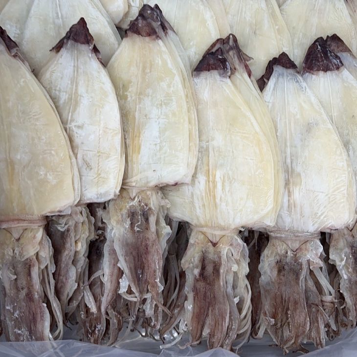 楽天市場】業務用 5枚でお得 剣先するめ 剣先スルメ Sサイズ 小サイズ