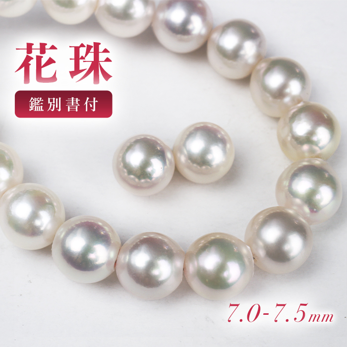 楽天市場】花珠 パールネックレス 2点セット 8.0-8.5mm あこや イヤリングorピアス セット パール 花珠 真珠 ネックレス 高品質 鑑別書  冠婚葬祭 結婚式 卒業式 送料無料 アコヤ 本真珠 ピアス プラチナ シルバー k14WG sv 卒園式 入園式 入学式 パール pearl  akoya 鑑定 ...