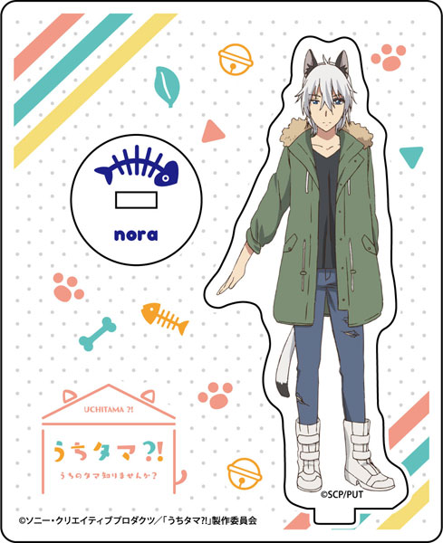 うち の たま 知り ませ ん か