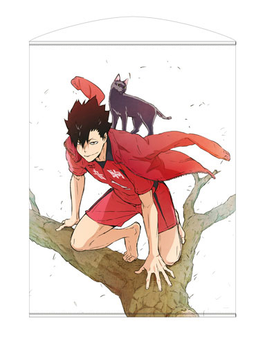 ハイキュー To The Top 黒尾fe朗 100cmタペストリー 再販 コスパ 月夜見制限 Pasadenasportsnow Com