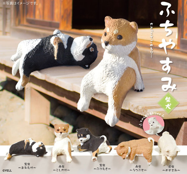 楽天市場】ふちやすみコツメカワウソ 10個入りBOX[エール]《07