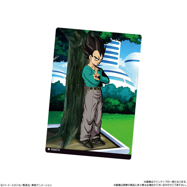 イタジャガ　ドラゴンボール 000000007866_54se8Yg.jpg