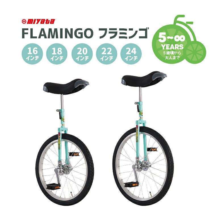 競技用一輪車ミヤタエキスパート(20インチ)日本一輪車 MIYATA 一輪車 