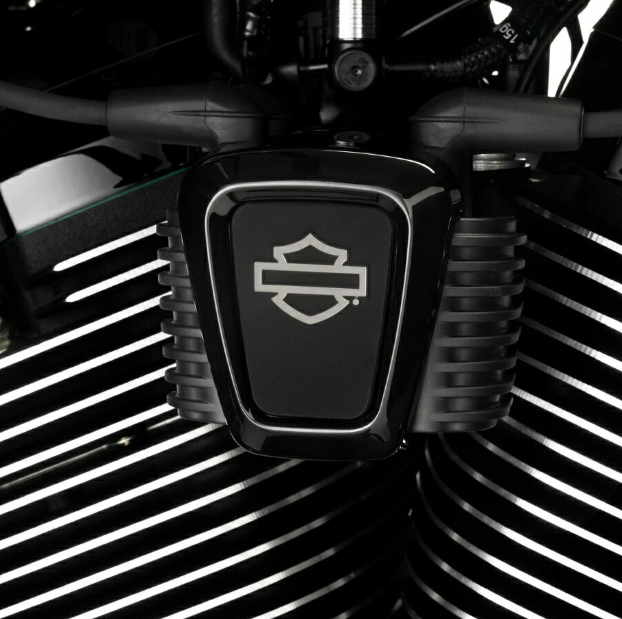 M8ソフテイル ハーレー純正 ウィリーGスカルコイルカバー 2018以降 ソフテイル、2025以降 ツーリング ウィリーGスカル