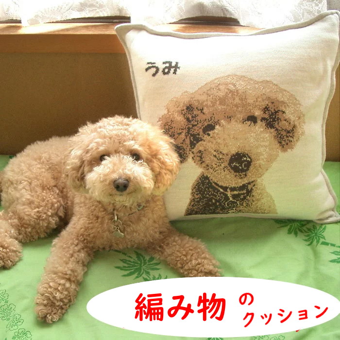 殿堂 クッション ペット 糸を編んで描く Lサイズ ニットクッション かわいい プレゼント 誕生日 ペットオーダーグッズ 写真で作る ペットロス メモリアルグッズ オーダーメイド オーナーズグッズ Williamsav Com