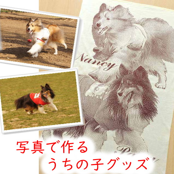 喇叭 註文 ひざ掛け 生まれ機会配り物 原物プレゼント 令室 ご内儀 ご内儀 誕生日 オリジナル サプライズ 縁づく祝す日 愛洋犬 愛ネコ ペットグッズ 犬好き 猫好き 犬雑貨 猫雑貨 ムービーで致す オーダー家政婦 40値打ち 50代 60代 ひざ掛け 2匹取り高 栄典幸 ペット