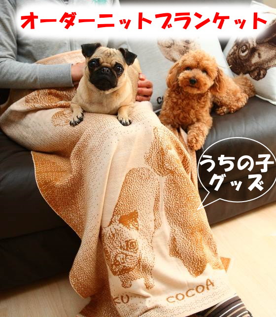 楽天市場 誕生日プレゼント 母親 60代 ペット 膝掛 愛犬 犬好き 愛猫 猫好き オリジナル ブランケット オーダーメイド サプライズ 彼女 母 妻 女性 プレゼント 30代 40代 50代 お祝い 還暦祝い メモリアルグッズ あみものあーと