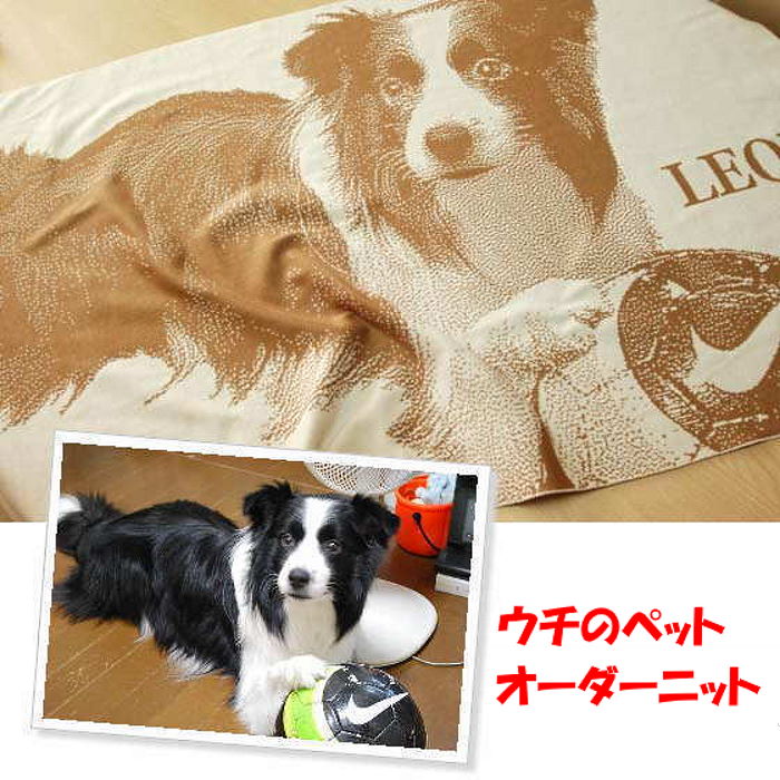偉大な ペット オーダー ひざ掛け 彼女 母 妻 誕生日プレゼント サプライズ オリジナル 名前入り プレゼント 愛犬 愛猫 写真で作る オーダーメイド ペットオリジナルひざ掛け 30代 40代 50代 60代 あみものあ と 数量限定 特売 Vancouverfamilymagazine Com