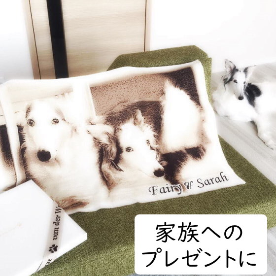 ペット メモリアルグッズ ニット メモリアル ペットロス 初盆 お供え 供養 写真 オーダー 思い出 想い出 会いたい オーダーメイド オリジナル 愛犬 愛猫 お名前入り リボン付き Kanal9tv Com