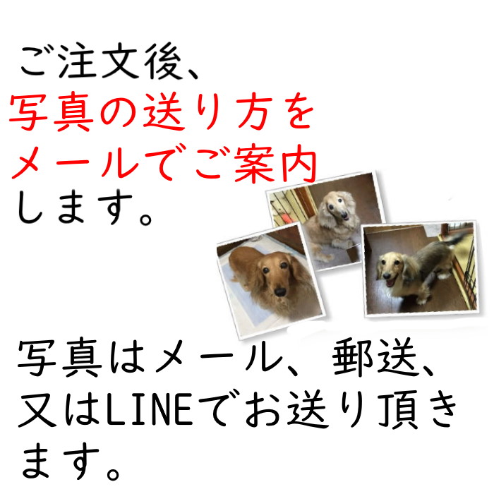 ペット メモリアルグッズ ニット メモリアル ペットロス 初盆 お供え 供養 写真 オーダー 思い出 想い出 会いたい オーダーメイド オリジナル 愛犬 愛猫 お名前入り リボン付き Kanal9tv Com