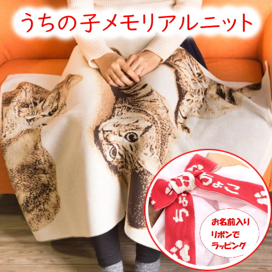 ペット メモリアルグッズ ニット メモリアル ペットロス 初盆 お供え 供養 写真 オーダー 思い出 想い出 会いたい オーダーメイド オリジナル 愛犬 愛猫 お名前入り リボン付き Kanal9tv Com