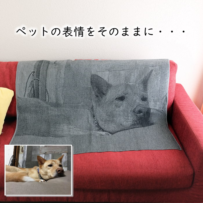 ペット メモリアルグッズ ニット メモリアル ペットロス お供え 供養 写真 オーダー 思い出 想い出 会いたい オーダーメイド オリジナル 愛犬 愛猫 お名前入り 裏面市松模様 Purplehouse Co Uk