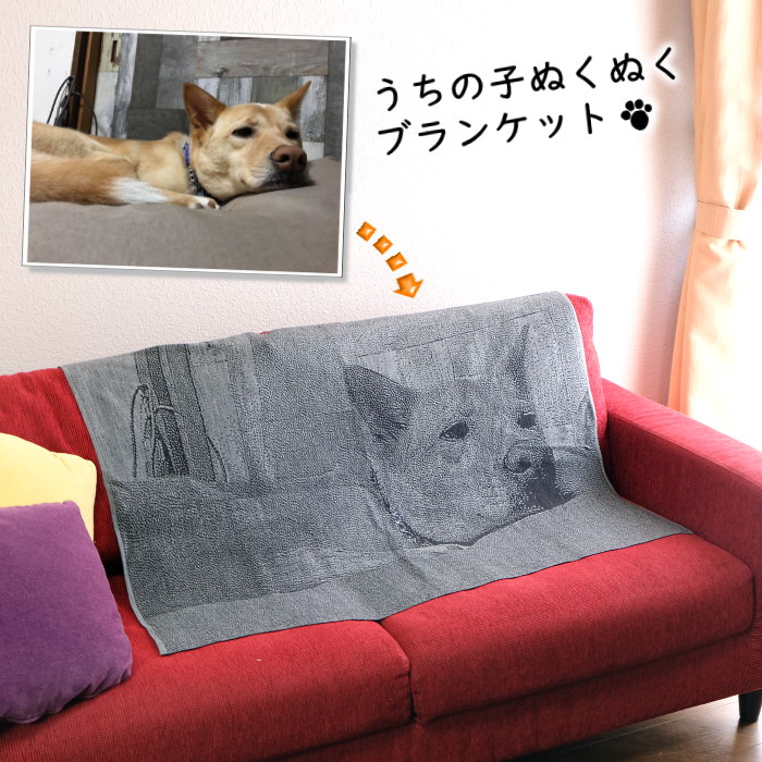 ペット メモリアルグッズ ニット メモリアル ペットロス お供え 供養 写真 オーダー 思い出 想い出 会いたい オーダーメイド オリジナル 愛犬 愛猫 お名前入り 裏面市松模様 Purplehouse Co Uk