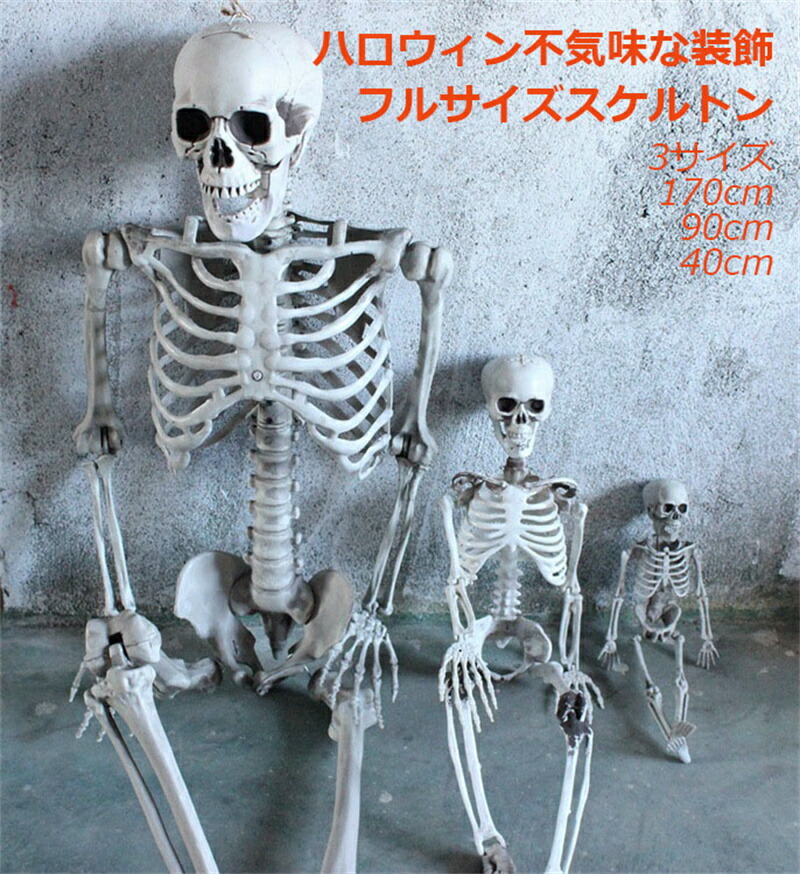 専用出品 ハロウィン骸骨 楽天市場】【送料無料】ハロウィン スケルトン 1.5m