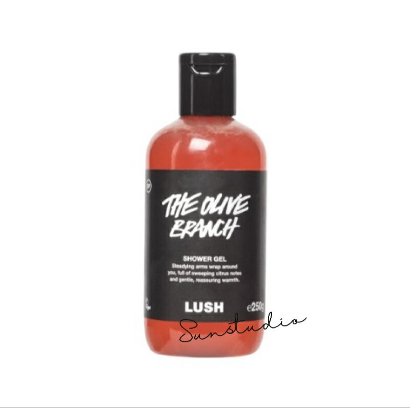 楽天市場】lush ラッシュ Dirty スプリングウォッシュ 100gボディ