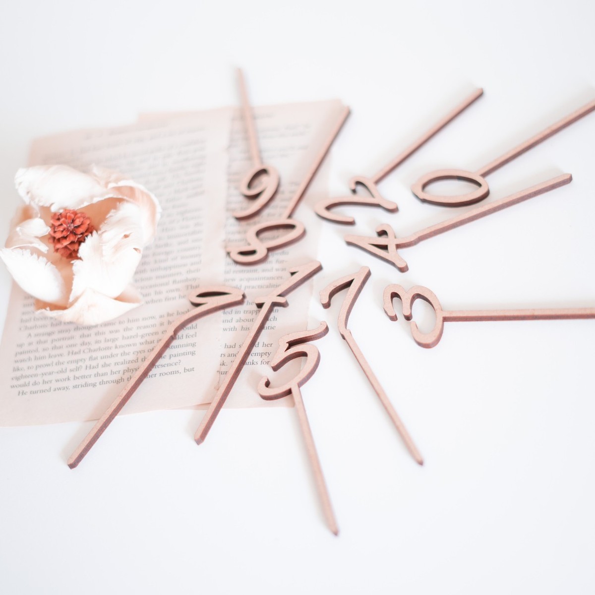 木製 10本セット ケーキ トッパー 数字 セット スマッシュ クレイ One 誕生日 1歳 飾り 一歳 ファースト バースデー フォト ウッド 三歳 グッズ ナチュラル お祝い 3歳 カリグラフィ Numberset S Cake 2歳 ダミー 結婚祝い ベビー 二歳 Wood パーティー