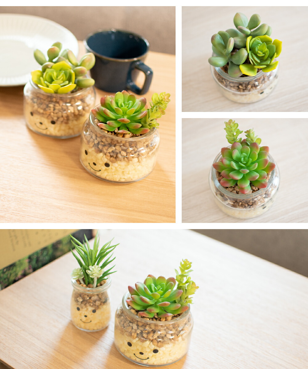 726円 人気特価激安 フェイクグリーン 多肉植物 サボテン 風水 人工観葉植物 造花 消臭アーティフィシャルグリーン おしゃれ リビング ダイニング 玄関 キッチン トイレ ナチュラル グリーン 消臭 防汚 抗菌 寄せ植え Ct触媒 ギフト 母の日 Famille ファミーユ L