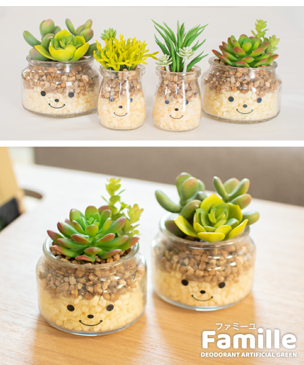 726円 人気特価激安 フェイクグリーン 多肉植物 サボテン 風水 人工観葉植物 造花 消臭アーティフィシャルグリーン おしゃれ リビング ダイニング 玄関 キッチン トイレ ナチュラル グリーン 消臭 防汚 抗菌 寄せ植え Ct触媒 ギフト 母の日 Famille ファミーユ L
