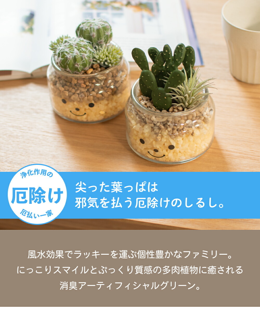 フェイクグリーン 多肉植物 サボテン 風水 人工観葉植物 造花 消臭アーティフィシャルグリーン おしゃれ 厄除け リビング ダイニング 玄関 キッチン トイレ ナチュラル 消臭 防汚 抗菌 寄せ植え Ct触媒 ギフト 母の日 Famille ファミーユ L