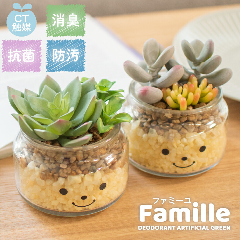 楽天市場 6 限定 全品p5倍 フェイクグリーン 多肉植物 サボテン 風水 人工観葉植物 造花 消臭アーティフィシャルグリーン おしゃれ 対人運 リビング ダイニング 玄関 キッチン トイレ ナチュラル 消臭 防汚 抗菌 寄せ植え Ct触媒 ギフト 母の日 Famille