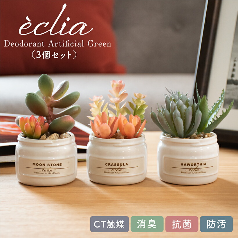 楽天市場 フェイクグリーン 多肉植物 寄せ植え 人工観葉植物 造花 おしゃれ かわいい リビング ダイニング キッチン 玄関 寝室 トイレ ナチュラル 消臭 防汚 抗菌 Ct触媒 インテリア 雑貨 ギフト プレゼント 母の日 エクリア おしゃれ照明のampoule