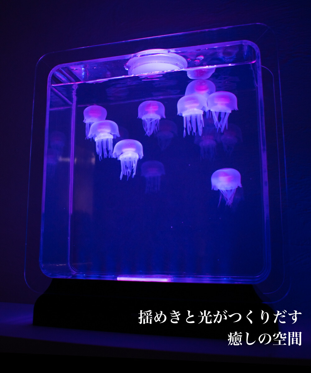 安いそれに目立つ 楽天市場 アクアリウム ミニアクアリウム 水槽 Led クラゲ 癒しグッズ リラクゼーション ギフト プレゼント インテリア Ig おしゃれ照明のampoule 現金特価 Lexusoman Com