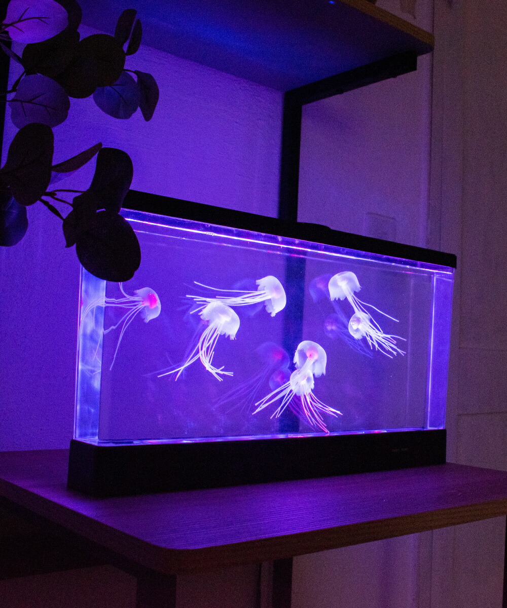 アクアリウム 水槽 Led クラゲ くらげ イルミネーション Ledライト ライト ワイド 大きめ インテリア オブジェ リビング 水族館 子供 子ども ブラック 溢れ者 癒しグッズ リラクゼーション ギフト プレゼント Ig Lamainnoire Tattoo Com