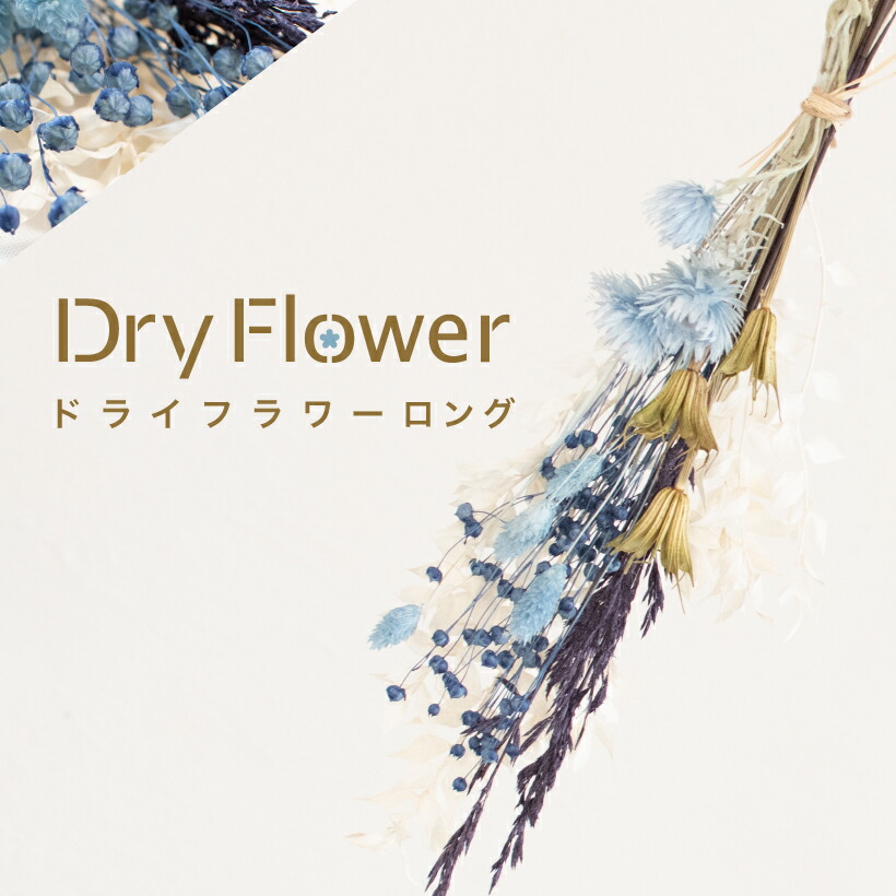 楽天市場 ドライフラワー スワッグ ブーケ 手作り 花材 青 ブルー 白 ホワイト インテリア ガーランド オーナメント モビール 花束 雑貨 ボタニカル 壁掛け おしゃれ 花 ナチュラル アレンジ 飾り 簡単 ギフト プレゼント Bp001 012 おしゃれ照明のampoule