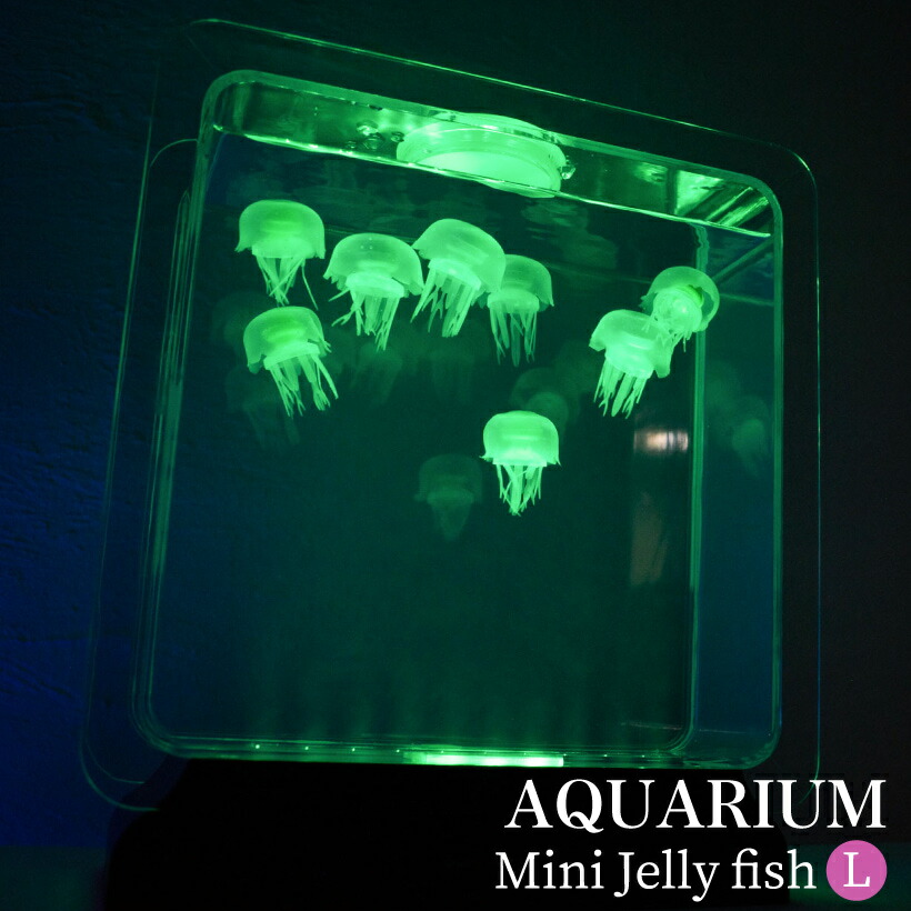 国産短納期 クラゲ Led ミニアクアリウム インテリア アクアリウム リラクゼーション おしゃれ プレゼント かわいい 癒しのクラゲのアクアリウム 水槽 ライト 癒しグッズ ギフト Ig おしゃれインテリアのampouleお家が水族館に 国産短納期 クラゲ Led ミニアクアリウム インテリア アクアリウム リラクゼーション おしゃれ プレゼント かわいい 癒しのクラゲのアクアリウム 水槽 ライト 癒しグッズ ギフト Ig おしゃれインテリアのampouleお家が水族館に