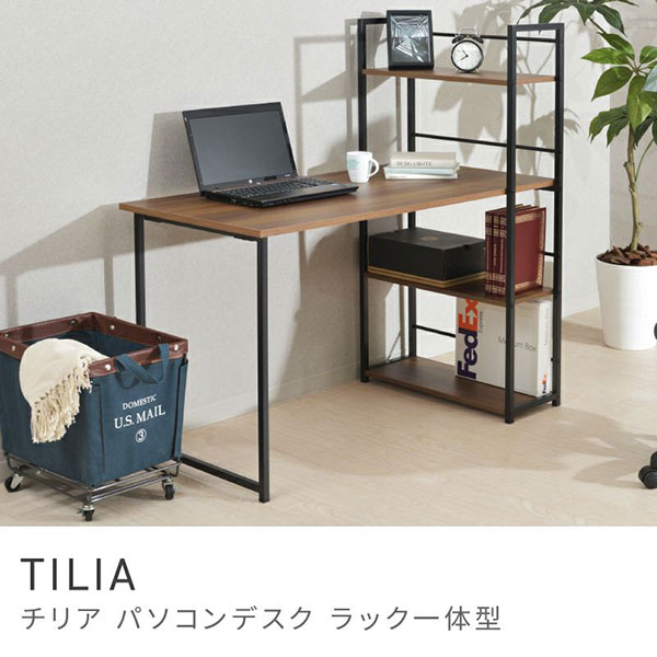 【貨物輸送無料】 ROOM ESSENCE Vol.29 事務机＆女性議長 PT-461BR/070060 事務机