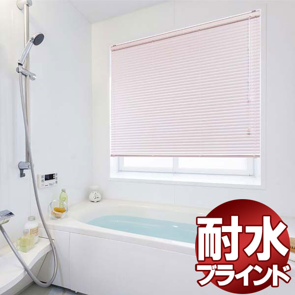 【最大限度尖んがり23倍＋クーポン券】積もり書き差しゆるす！タチカワブラインド 横型目かくし 購入注文 軽銀 シルキーシェイディアクアRDS 25粍 ツートンカラー パール色つや