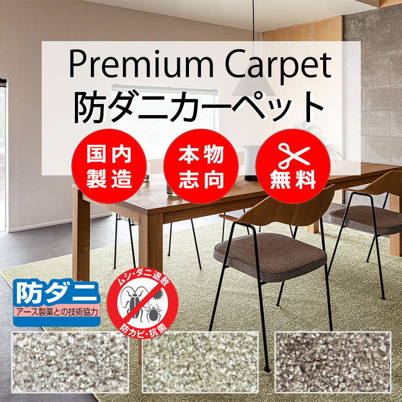 【最大ポイント28倍＋クーポン】カーペット 高級 通販 人にも環境にもやさしい カット無料 離島外 送料無料 アスワン アスブリンク：BLK オーバーロック加工