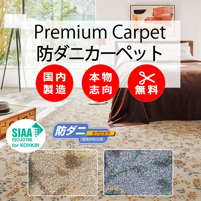 【最大限度尖んがり28倍＋引き換え証】引っ敷き 御前上等 通信販売 人にも周囲の状況にも分かりやすい とり捨てる無料 離島外 貨物輸送無料 アスワン アスカノン：CAN 厚地の外套鍵を掛ける産業