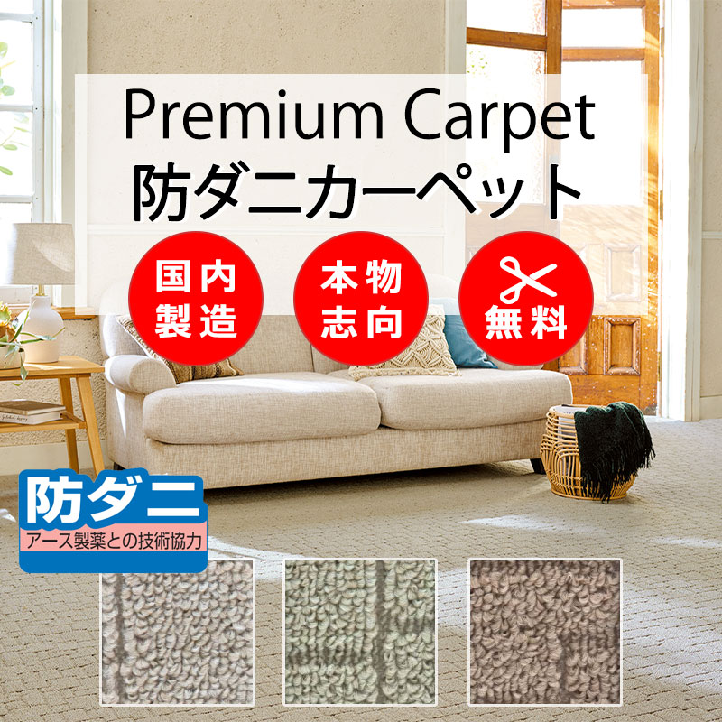 【最大限度尖んがり28倍＋引き換え証】引っ敷き 御前上等 通信販売 人にも周囲の状況にも分かりやすい とり捨てる無料 離島外 貨物輸送無料 アスワン アスクエスト：QST 厚地の外套鍵を掛ける産業