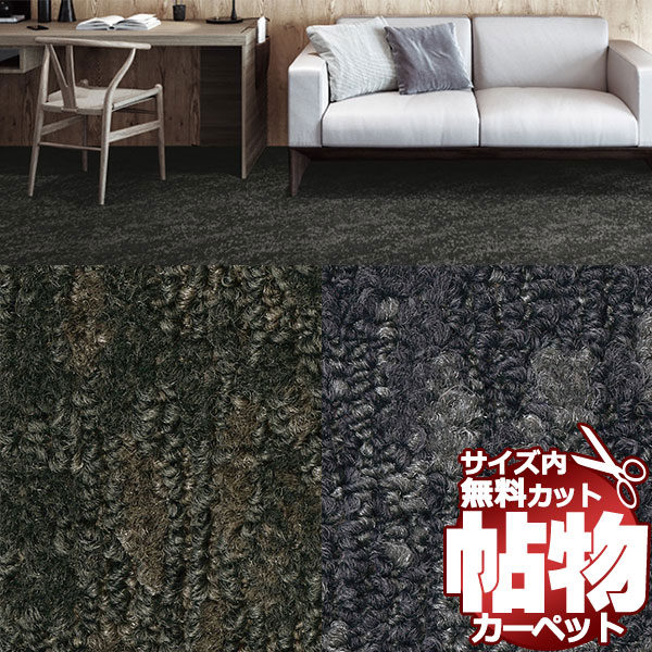 引っ敷き 通信販売 大きさ内 とり捨てる無料 サンゲツ引っ敷き サンヘイジー HZR