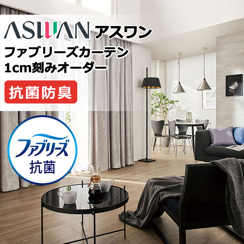 窓掛け 日よけ アスワン ファブリーズカーテン FB008A～FB013A エクラーテ ドレープ