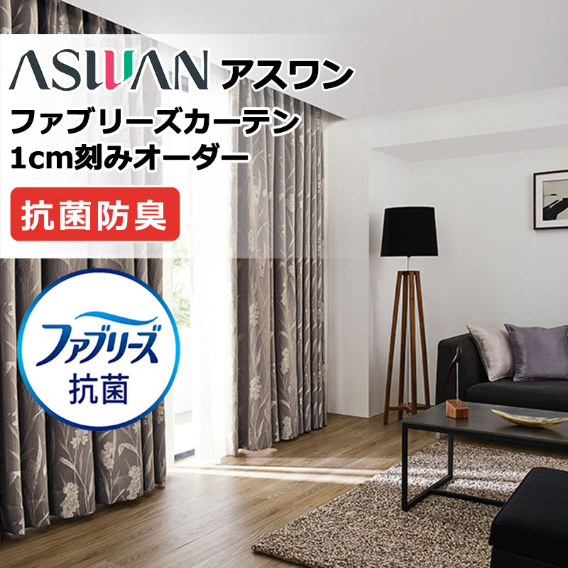 覆い布 疑しさ アスワン ファブリーズカーテン FB037～FB039 足懸かりラス ドレープ