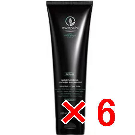 ●【送料無料】 ポールミッチェル ／AWAPUHI WILD GINGER ／AWG モイスチャライジング ラザーシャンプーJ 250mL 【6個】 [ 国内正規品 ]