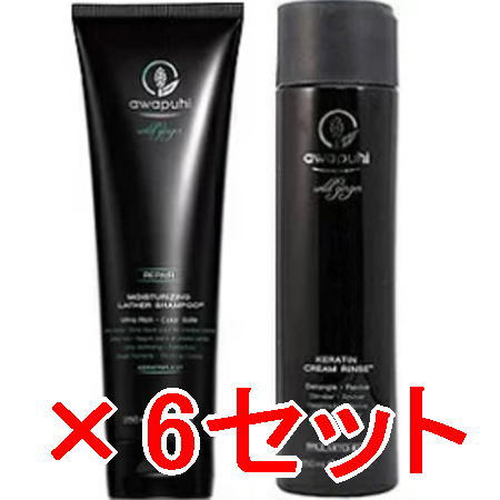 ●【送料無料】 ポールミッチェル ／AWAPUHI WILD GINGER ／AWG モイスチャライジング ラザーシャンプーJ 250mL ＆ ケラチンクリームリンス 250mL　6セット [ 国内正規品 ]
