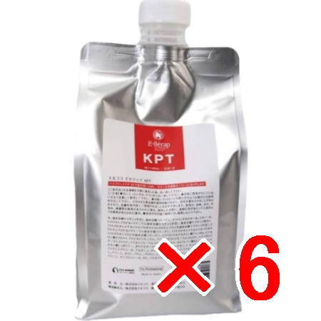 ●【送料無料】 エルコス ELLCOS ／ Eセラップ KPT 1000mL 【6個】／ ハイブリッドP.P.Tが毛髪内部に浸透し、ダメージを補修&ハリ・コシをUPします。｜amugis