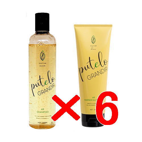 ●【送料無料】 プテロ putelo ／ グランディール シャンプー 300ml ＋ グランディール ヘア＆スカルプパック 240ml 【6セット】