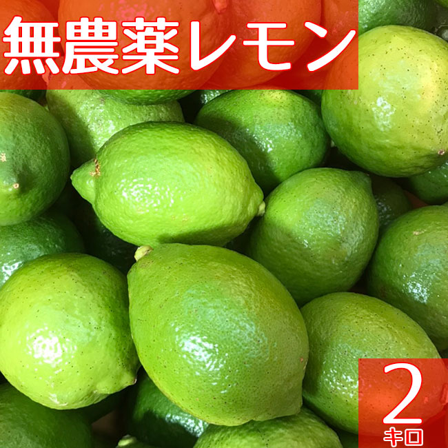 楽天市場 広島県産 瀬戸内 グリーンレモン 2kg お子様にも安心 安全 皮ごと食べれる無農薬レモン 国産レモン 広島レモン 蒲刈レモン 次回使えるクーポンプレゼント アミュゼスポーツ