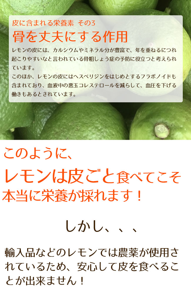 楽天市場 広島県産 瀬戸内 グリーンレモン 2kg お子様にも安心 安全 皮ごと食べれる無農薬レモン 国産レモン 広島レモン 蒲刈レモン 次回使えるクーポンプレゼント アミュゼスポーツ