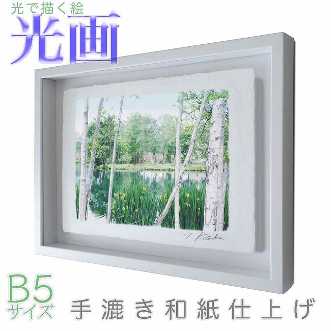 プロカメラマン片岡司 光画【緑輝く】 B5サイズ 光で描く絵 手漉き和紙仕上げ 010-B5-ホワイト綺麗 背景 パステルカラー 和紙アート(21y8m)[次回使えるクーポンプレゼント]